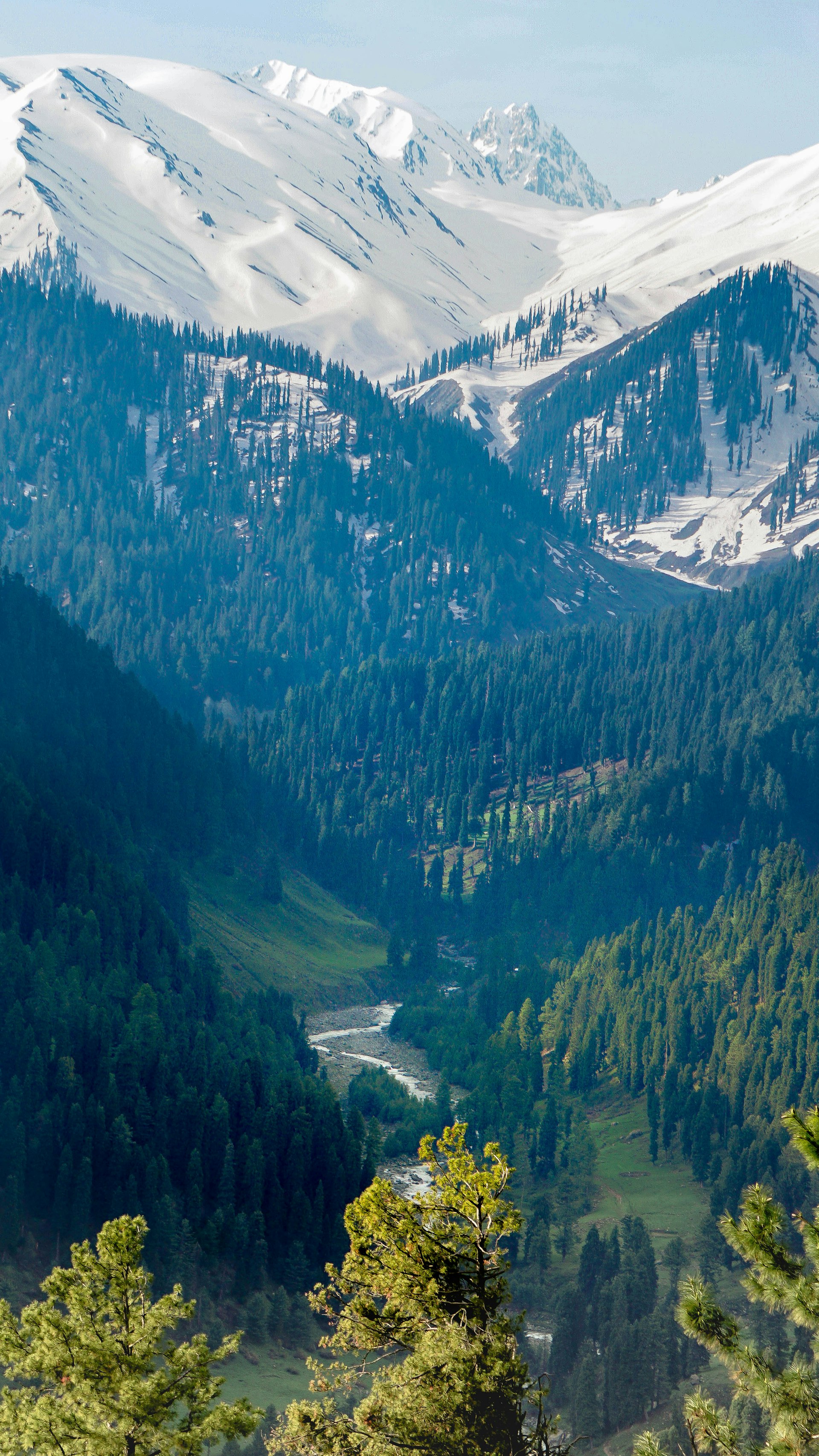 Kashmir Valley Landscape